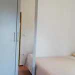 Sanja